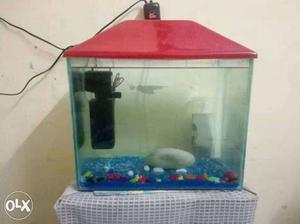 Fish aquarium with all accessories like filter,