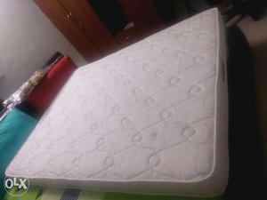 Springtek Queen size orthopaedic Mattress