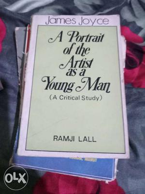 A Portrait Of The Artist As A Young Man Ramji Lall Novel