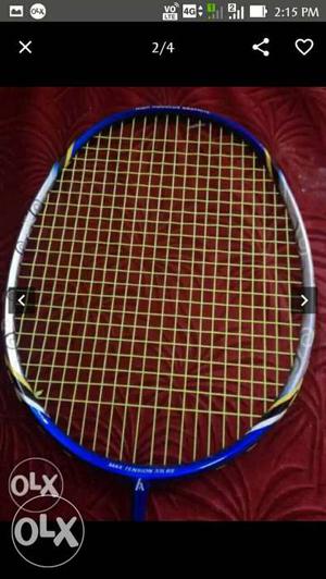Blue And Gray Badminton Racket Screenshot