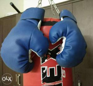 Boxing bag along with gloves