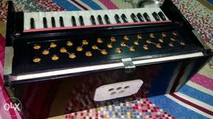 Brand new harmonium and tanpura both