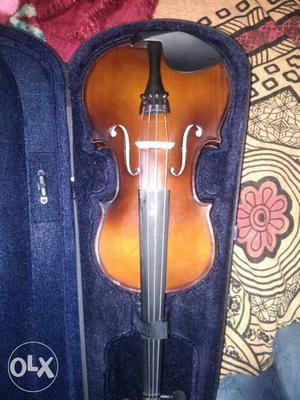 Brown Violin With Bow And Case