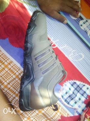 Gray Nike Shoe