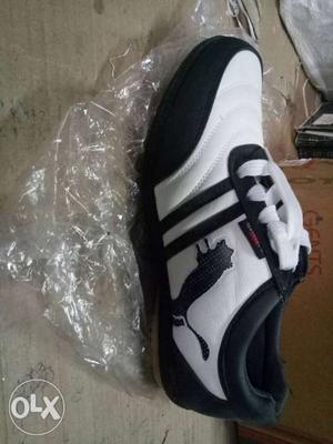 Shoes size 40 new on fixed rate