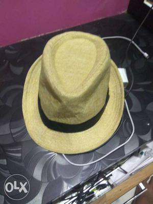 Brown And Green Fedora Hat