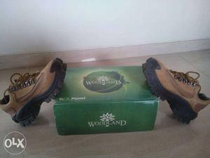 Pair Of Brown Woodland Leather Shoes With Box