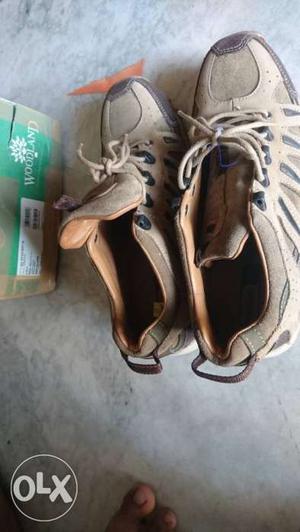Pair Of Brown Hiking Shoes With Box