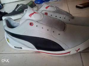 Puma farari aditon rearly use good condition and