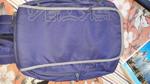 Want to Sell Skybag Laptop Backpack