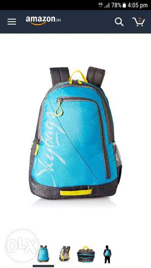 Skybag Polyester School Bagpack