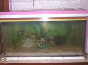 2feet aquarium... with all accessories... contact
