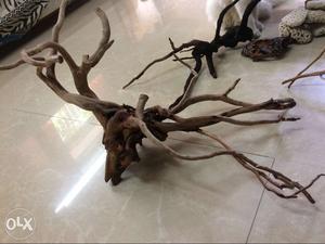 3 drift wood different sizes imported pcs and