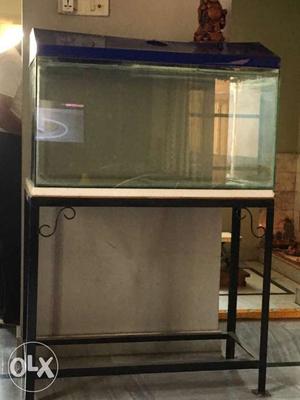 3 feet aquarium with cover and stand.