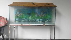 4 Feet Aquarium With Steel Stand And Substrate