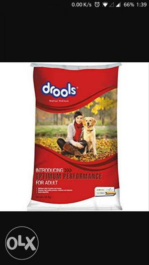 All dog feed 25%off Nd cages factory prices