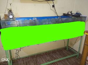 Aquarium 5foot with stand, background chart,