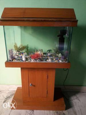 Aquarium with filter and other decoratives