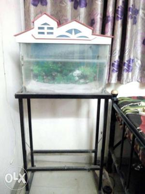 Aquarium with stand for sale 6 months old