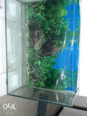 Big size aquarium with oxygen filter and