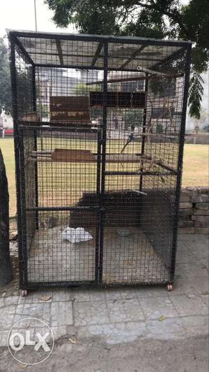 Bird/dog metal cage
