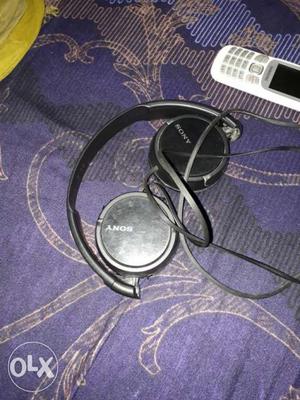 Black Sony Headphones