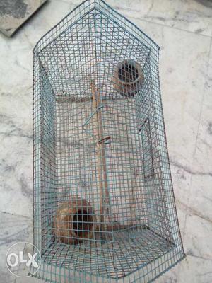 Blue And Grey Bird Cage
