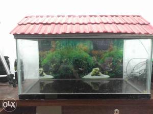 Brand New Aquarium fish tank dimensions 