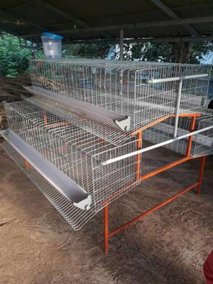 Cage with full automatic system. All type of