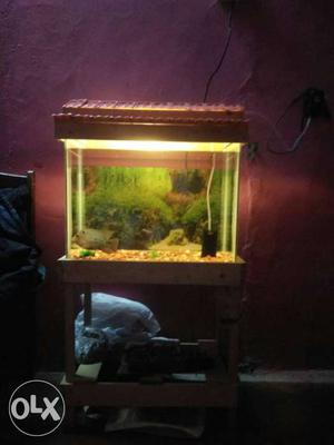 Clear foloran fish aquarium, tank, stand, 3days old
