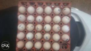 Fancy eggs 29 per egg 50 rs eggs