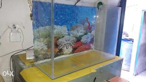 Fish Tank In Jodhpur new only 20 day old