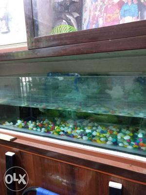 Fish tank 30 X 12 X 12 cms with filter motor for