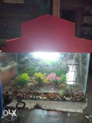 Fish tank for sale without fish all other