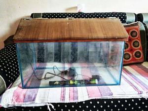 Fish tank with Wallpaper, Oxygen Machine. L*W*H =