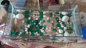 Fish tank with sand and rocks for sale,please