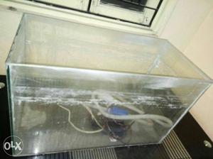 Fishes aquarium its very good in condition and
