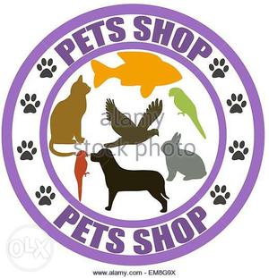 Fully Complete Pet accessory Shop Dogs Food, Shampoos