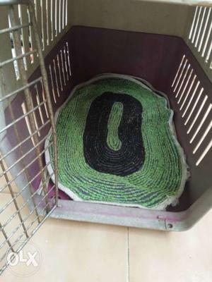 Green And Black Door Rug And Purple-and-white Pet Porter