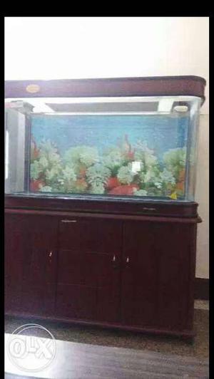 Imported fish tank(one piece) 4-2-2ft with filter. wooden