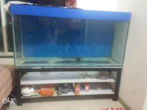 Large size fish aquarium (4feet × 1feet × 2feet with