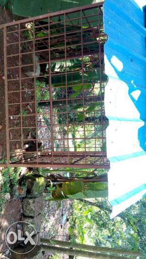 Metal pet cage. good condition price sightly