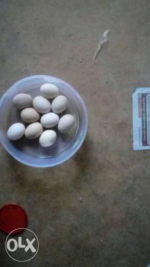 Nattukozli Eggs, country chicken eggs