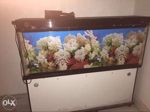 New Imported 5 feet aquarium tank with stand