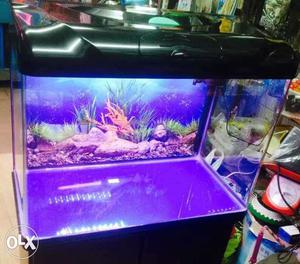 New Imported Aquarium 2 feet