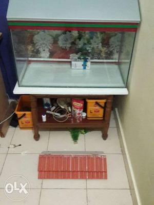 New fish tank bechana he