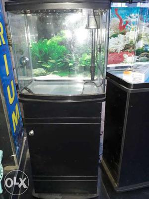 New imported fish tank