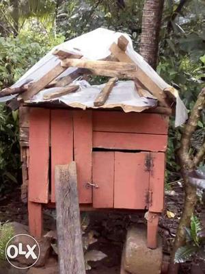 Orange Brown Wooden Dog House
