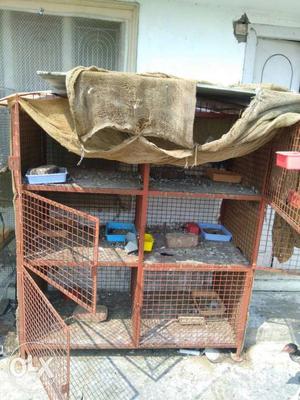 Pigeon cage available for sale very heavy Guage