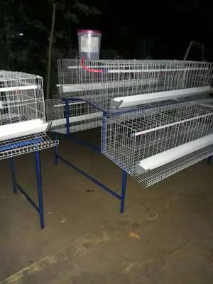 Poultry cages and accessories available with